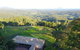Maleny Orchard - thumb 0