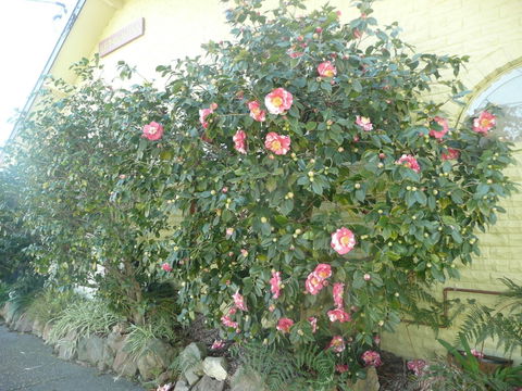 Getaway Inn Boutique Guest House - Australian Directory 1