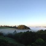 Montville QLD Australian Directory