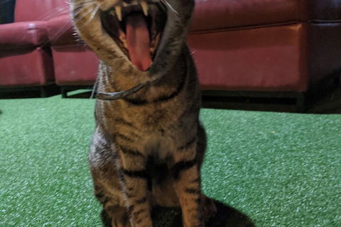 Jump Inn Alice Budget Accommodation - Australian Directory 1