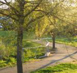 A Suite Spot in the Hills - Australian Directory