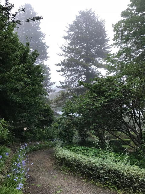 Foxglove Gardens - Australian Directory 6