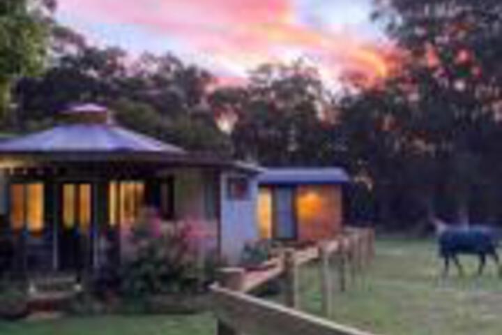 Wingello ACT Australian Directory