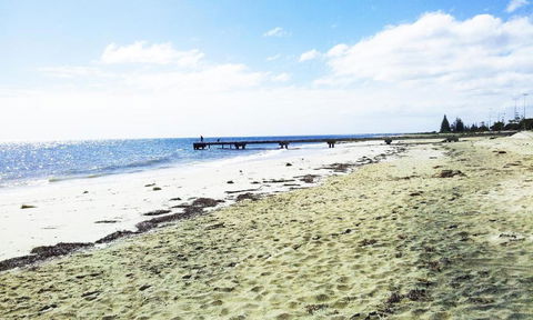 Carpe Diem South - Australian Directory 2