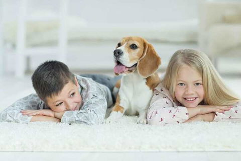 Boutique Stays - Vox Terrace, Prahran - Australian Directory 5