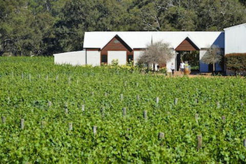 Vineyard Cottage At Upper Reach Winery - Australian Directory 0