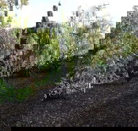 Ringtails Motel - Australian Directory