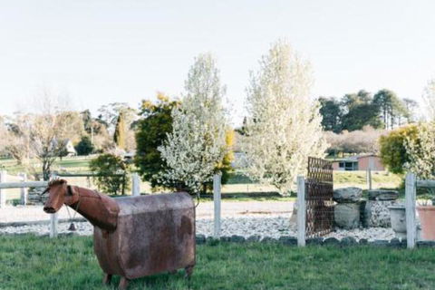 Omaroo - Australian Directory 5