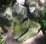 The Tree House. Treetop living near the ocean Coolum Beach QLD Australia - Australian Directory