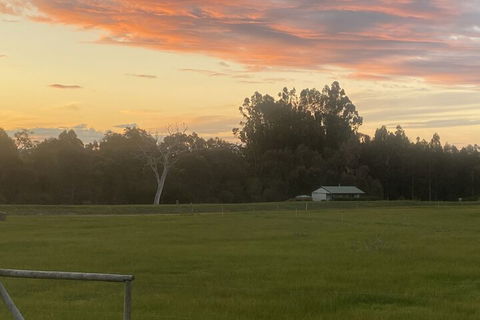 Manyat Peak Cottages - Australian Directory 1