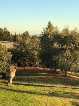 Eemnes Park Estate - Australian Directory 4