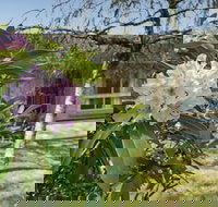 Wentworth Rose - Australian Directory