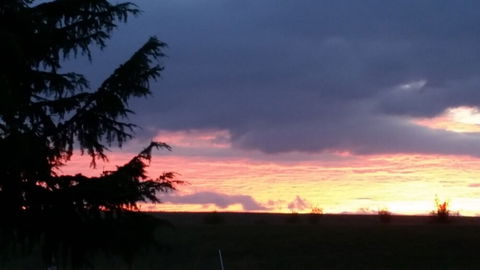 View Mount - Australian Directory 2