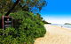 Temple 121 Palm Cove With Courtyard - thumb 2