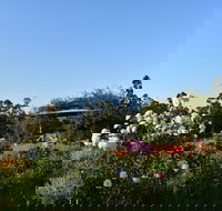 Labertouche Gypsy Creek Winery - Australian Directory