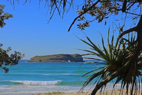 Sandcastles Fingal Head - Australian Directory 0