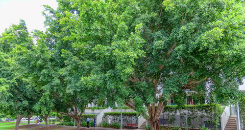 Theodore Apartments - Australian Directory 0