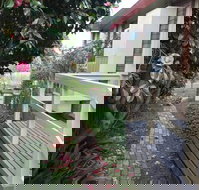 The Glen Family House - Australian Directory