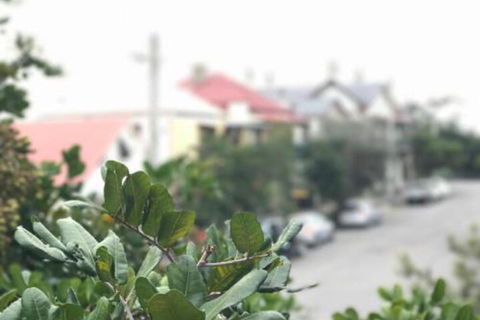 Zaara - Australian Directory 4