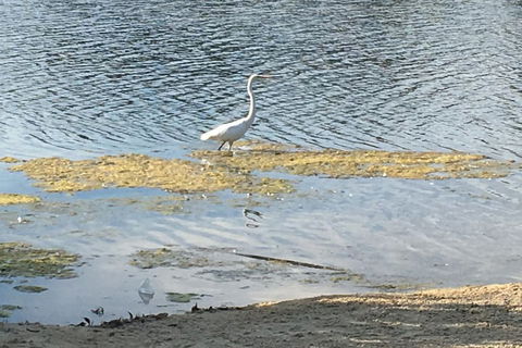 Lovely House - Australian Directory 1