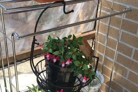 Lovely House - Australian Directory 7