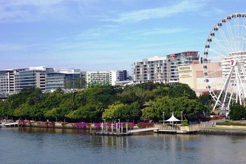 Bribane Chinatown 2bed Apt + Parking Pool Gym Qfv147 8 - Australian Directory 5