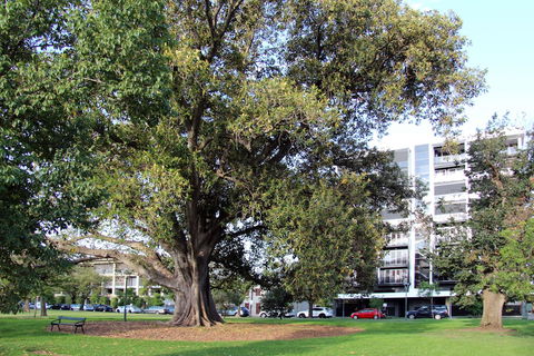Adelaide Central Apartment - 3BR, 2Bath & Carpark - Australian Directory 1
