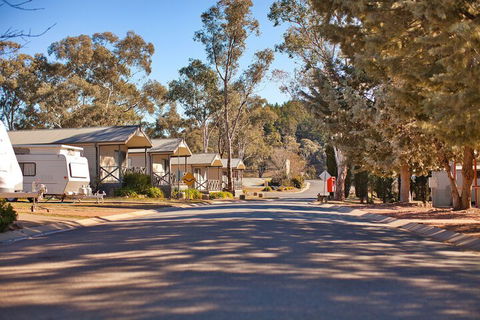 Eaglehawk Holiday Park Canberra - Australian Directory 4