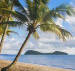 Eden Oceans Edge Palm Cove - Australian Directory