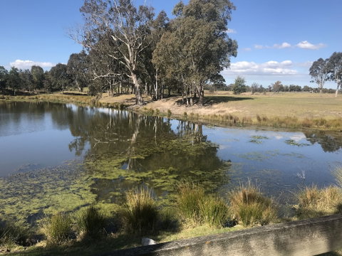 Rivers Apartments & Motel Sale Gippsland - Australian Directory 0