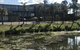 Rivers Apartments & Motel Sale Gippsland - thumb 3