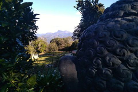 Ruah Rain Forest Retreat - Australian Directory 0