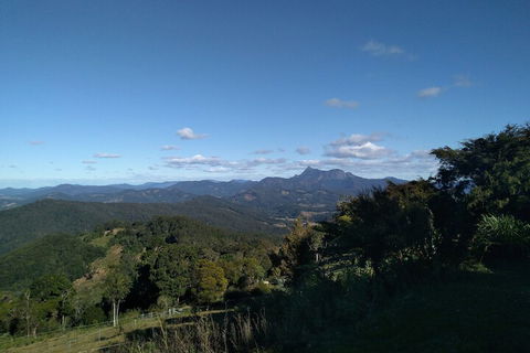 Ruah Rain Forest Retreat - Australian Directory 6