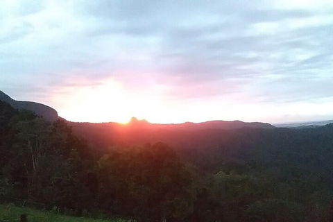 Ruah Rain Forest Retreat - Australian Directory 4