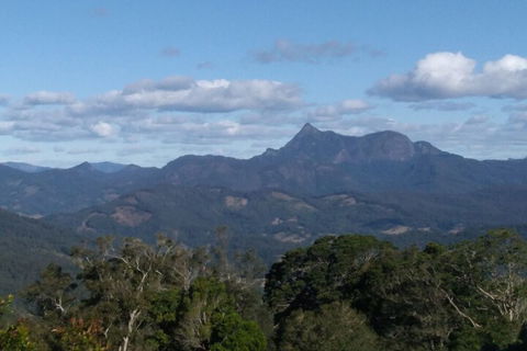 Ruah Rain Forest Retreat - Australian Directory 2