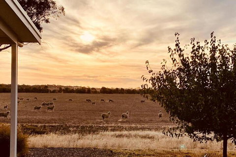 Marys Farm Cottages - Australian Directory 3