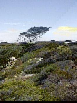 Lantauanan - Australian Directory 1