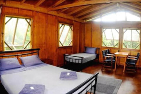 Daintree Rainforest Bungalows - Australian Directory 5