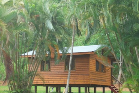 Daintree Rainforest Bungalows - Australian Directory 0
