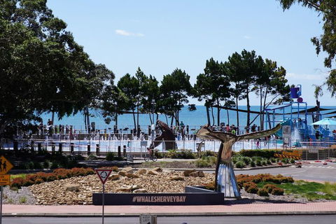 Beachside Motor Inn - Australian Directory 3