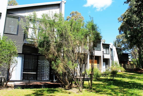 Margarets Forest - Australian Directory 2