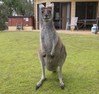 Yelverton Brook Conservation Sanctuary - Australian Directory