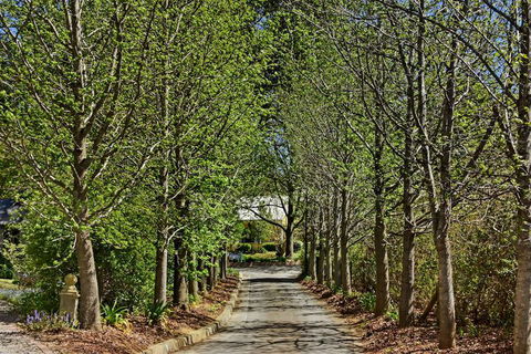 Bundanoon Lodge - Australian Directory 1