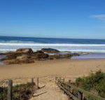 Bellbird Cottage B  B - Australian Directory