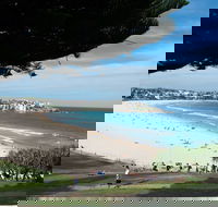 Bondi 38 Serviced Apartments - Australian Directory