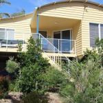 SPINNAKER 1 - Australian Directory 0
