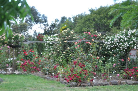 Fairy Wren Cottage Country To Coast Retreat - Australian Directory 6