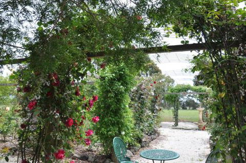 Fairy Wren Cottage Country To Coast Retreat - Australian Directory 1