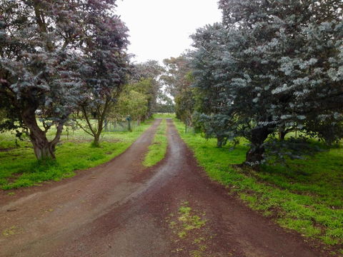 Fairy Wren Cottage Country To Coast Retreat - Australian Directory 4