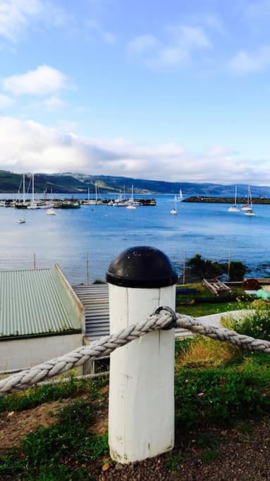 Kutu Ev - Australian Directory 1